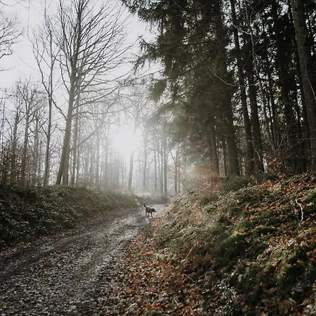 Maison Ubuntu Bed and Breakfast Froidfontaine