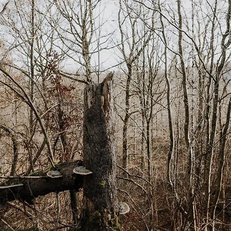 Maison Ubuntu 3* Froidfontaine