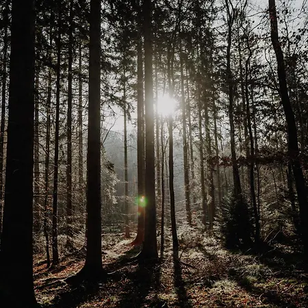 Bed and Breakfast Maison Ubuntu Froidfontaine