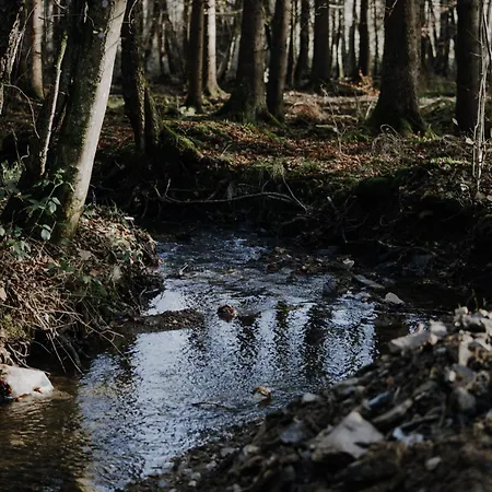 Maison Ubuntu Bed and Breakfast Froidfontaine
