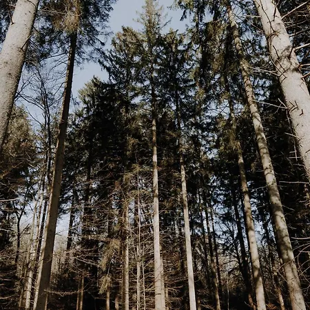 Maison Ubuntu Froidfontaine