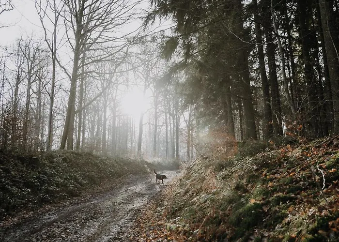 Maison Ubuntu Frühstückspension Froidfontaine