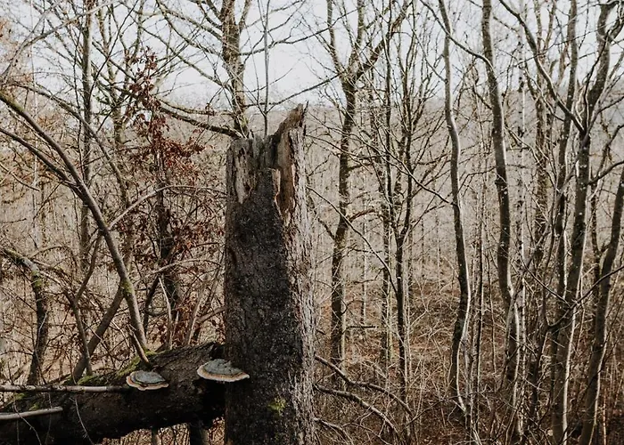 Maison Ubuntu 3* Froidfontaine